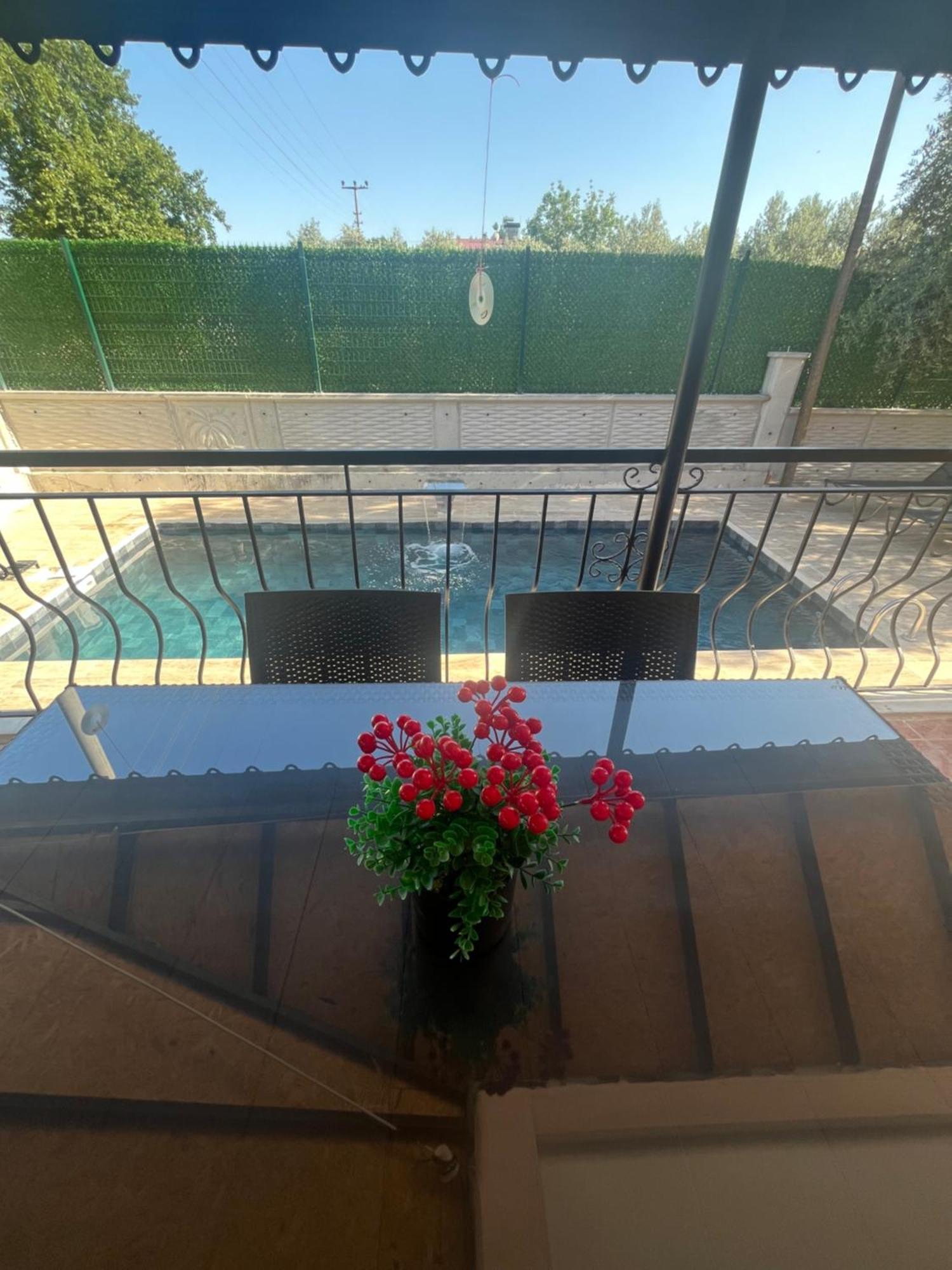 Olive Private Pool * Antalya